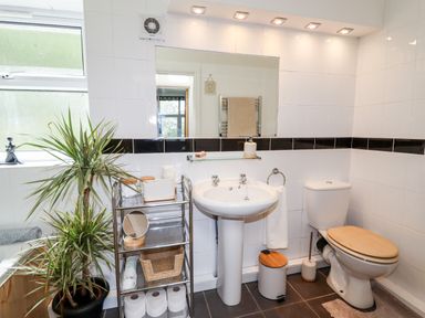 A bathroom with a pedestal sink a toilet with wooden seat a tall plant and a metal shelf holding toiletries at Trem Y Don in Dolgarrog