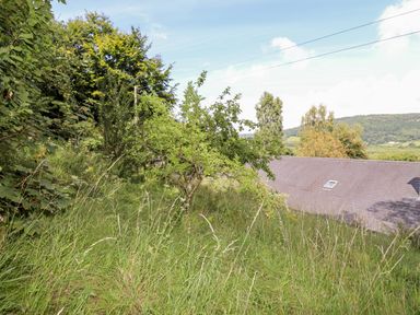 A grassy garden area with trees and a roof in the background at Trem Y Don in Dolgarrog