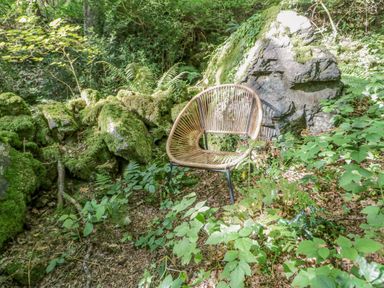 A chair placed among mossy rocks and dense foliage in a forest at Trem Y Don in Dolgarrog