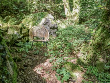 A chair on a forest floor surrounded by rocks and greenery at Trem Y Don in Dolgarrog