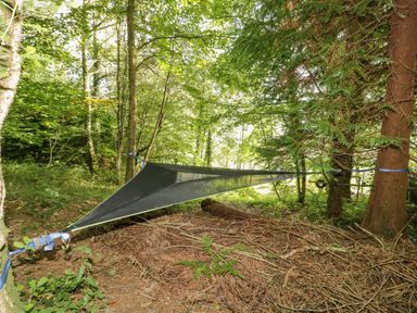 A black triangular tarp canopy attached between trees in a forested area with leaf litter on the ground at Trem Y Don in Dolgarrog