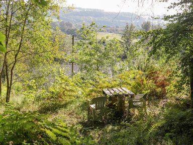 A wooden table with three plastic chairs in a forest clearing surrounded by trees and vegetation at Trem Y Don in Dolgarrog