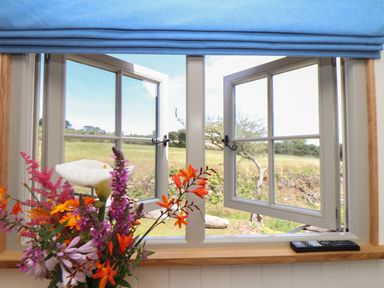 A window with open double casement panes looking out onto a grassy field with flowers on the windowsill at Bosulla Shepherds Hut in Penzance