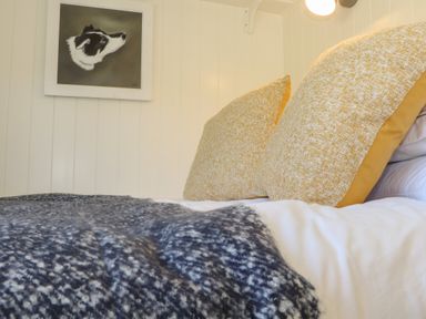 A bed with yellow pillows and a dark blue blanket below a painting of a dog on a white paneled wall at Bosulla Shepherds Hut in Penzance