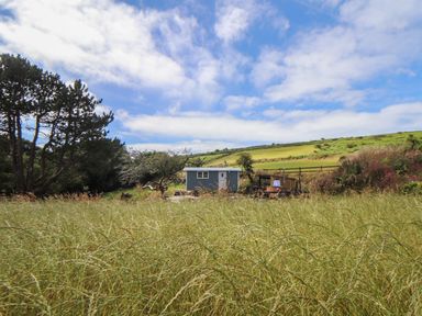 A small blue shed with a white door and windows surrounded by tall grass and trees at Bosulla Shepherds Hut in Penzance