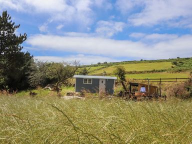 A blue shepherds hut with a small deck and trees in a grassy rural field at Bosulla Shepherds Hut in Penzance