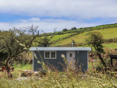 A small gray shepherds hut with a white door and windows in a grassy countryside setting at Bosulla Shepherds Hut in Penzance