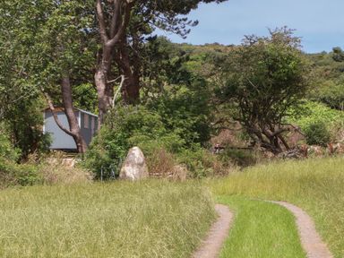 A grassy path leading to a small blue hut surrounded by trees and bushes at Bosulla Shepherds Hut in Penzance