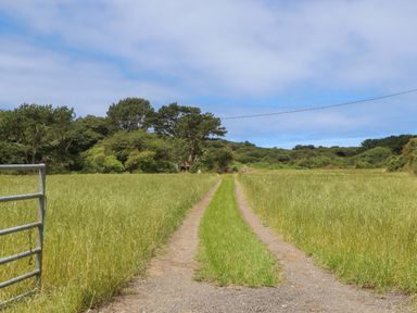 A dirt and grass pathway through a field with trees in the background at Bosulla Shepherds Hut in Penzance