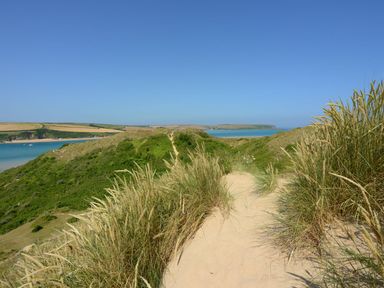 A sandy path through dunes with grass leading towards the sea at Gull Rock 4 in Rock