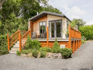A small wooden lodge with a deck and stairs surrounded by plants and trees at Pippin Lodge in Allithwaite near Cartmel