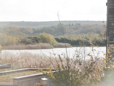 A view of a river with trees and shrubs in the background and plants growing on a rooftop at Agua de Plata 16 Wakeling Island Silverlake in Dorchester