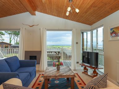 A living room with blue sofa wooden coffee table and television near large windows at Tamar View Lodge in Millbrook