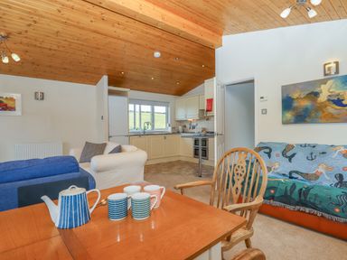 An open plan living area with a wooden ceiling a kitchen a dining table with mugs a teapot wooden chairs and sofas one covered with a mermaid patterned throw at Tamar View Lodge in Millbrook