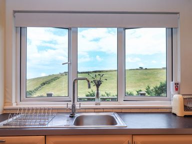 A kitchen sink with a drying rack and a vase with flowers on the windowsill overlooking a grassy hill at Tamar View Lodge in Millbrook
