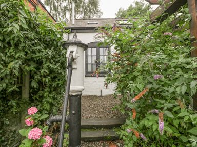 A garden area with an old water pump surrounded by plants and flowers at The Old Bakehouse in Pembridge