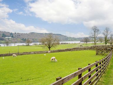 A green field with sheep and lambs near a wooden fence and stone walls with hills and a lake in the background at Shepherds Cottage in Hawkshead