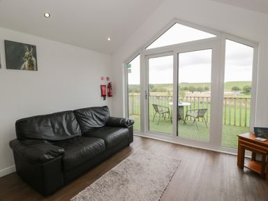 A living room with a black leather sofa a rug and glass doors opening to a balcony with chairs and a table at Mallard Lodge in Moscow near Galston