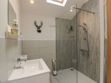 A bathroom with a sink a mirror a wall-mounted soap dispenser a glass-enclosed shower with a rain showerhead and handheld showerhead at Mallard Lodge in Moscow near Galston