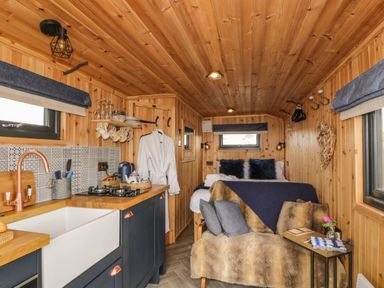 A wooden room with a small kitchen sink and stove a bed with pillows and a blue throw and a chair covered with a fur blanket at Greenacres Carriage in Maybole