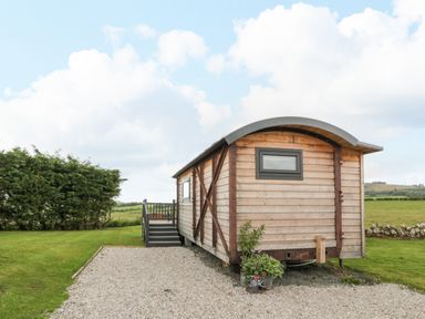 A wooden cabin with steps and railing on grass and gravel at Greenacres Carriage in Maybole