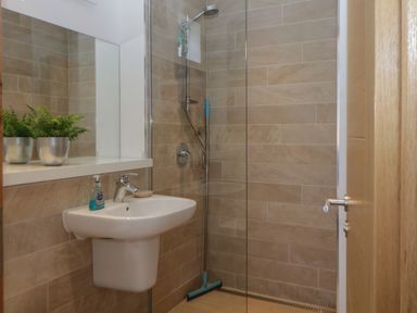 A bathroom with a wall-mounted sink soap dispenser and two small plants next to a walk-in shower at 12 Beachdown in Challaborough