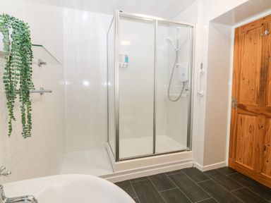 A bathroom with a shower enclosure a wooden door a sink a glass shelf with a plant at Coed y Glyn Bach Equestrian in Penygroes