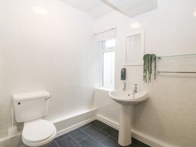 A bathroom with a toilet, pedestal sink, mirror, small window, and a plant at Coed y Glyn Bach Equestrian Penygroes