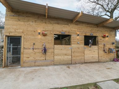 A wooden stable with two horse stalls one horse looking out at Coed y Glyn Bach Equestrian in Penygroes