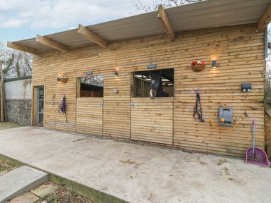 A wooden stable with two horse stalls one horse looking out and harnesses hanging on the doors at Coed y Glyn Bach Equestrian in Penygroes