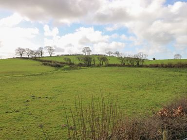 A grassy field with trees on the horizon under a cloudy sky at The Annexe Meadow Croft in Haverfordwest