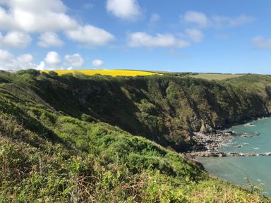 A coastal cliff with green vegetation and a rocky shoreline beside blue water at 3 Strawberry Close in Little Haven near Broad Haven