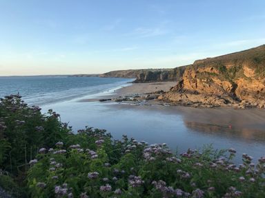A coastal scene with a sandy beach rocky cliffs and purple flowers in the foreground at 3 Strawberry Close in Little Haven near Broad Haven