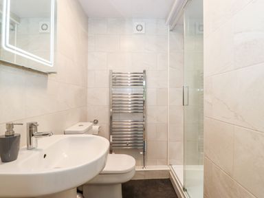 A bathroom with a sink a toilet a heated towel rail and a glass enclosed shower at Holly Cottage in Grasmere