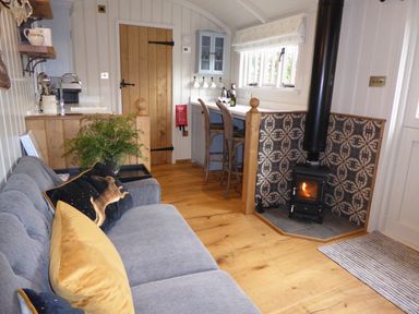 A living room with a grey sofa yellow and black pillows a wood burning stove with tiled surround wooden floor and kitchen area at Utopia in Metfield near Harleston