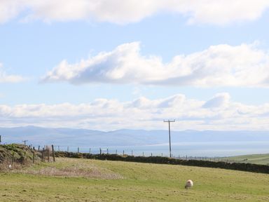 A grassy field with a sheep grazing and a stone wall with a view of distant hills and a body of water at Nyth Y Bioden (Magpie's Nest) in Llanaelhaearn near Trefor