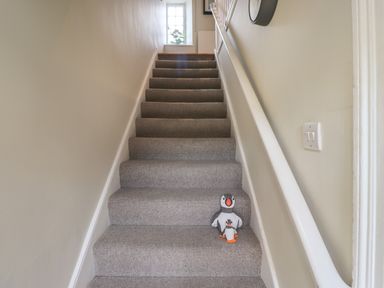 A carpeted staircase with two penguin toys on one step at Grebe Cottage in Alnmouth