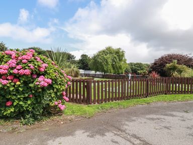 A fenced grassy garden area with various shrubs and trees along a paved path at Pams Place in Crantock