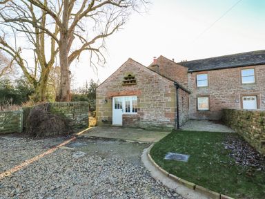 A stone cottage with a white door and windows surrounded by gravel driveway grass and a tree at Luham Cottage Edenhall near Langwathby