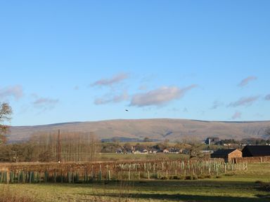 A rural landscape with fields trees hills and farm buildings at Luham Cottage Edenhall near Langwathby