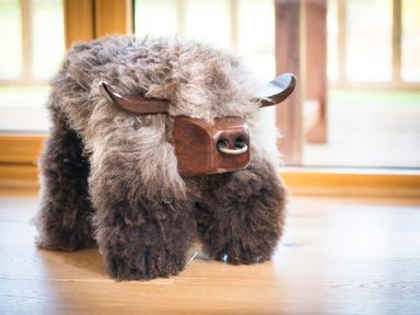 A small decorative buffalo sculpture with a wooden face and curly fur on a wooden floor at Aurae in Cawdor near Inverness