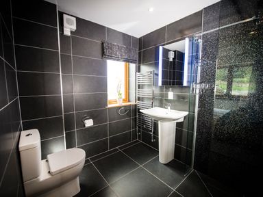 A bathroom with a toilet, pedestal sink, heated towel rail, window, and glass shower at Aurae in Cawdor near Inverness