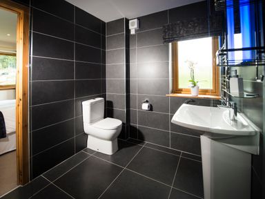 A bathroom with a toilet sink window and a potted plant at Aurae in Cawdor near Inverness