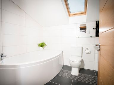 A bathroom with a bathtub a toilet a small potted plant and a skylight window at Aurae in Cawdor near Inverness