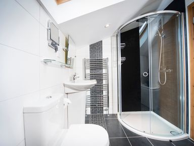 A bathroom with a toilet a sink a glass shower enclosure and a heated towel rail at Aurae in Cawdor near Inverness