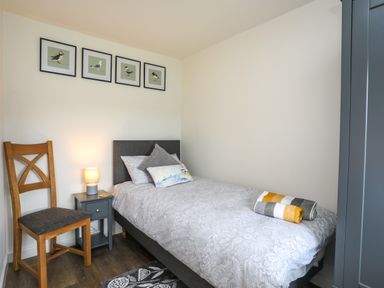 A small bedroom with a single bed a wooden chair a bedside table with a lamp and framed pictures of birds on the wall at Bwthyn Y Swnt in Moelfre