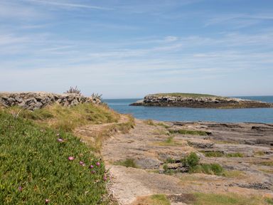 Rocky coastline with grass and flowers near the sea with a small island in the background at Bwthyn Y Swnt in Moelfre