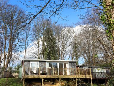 A small cabin with a wooden deck surrounded by trees at Treetops in Caernarfon