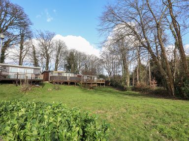 Holiday lodges on wooden decks surrounded by grass and trees at Treetops in Caernarfon