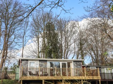 A cabin with a wooden deck surrounded by leafless trees at Treetops in Caernarfon